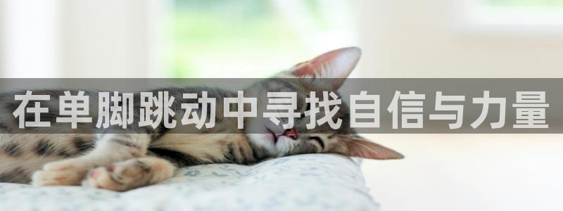 k1体育入口