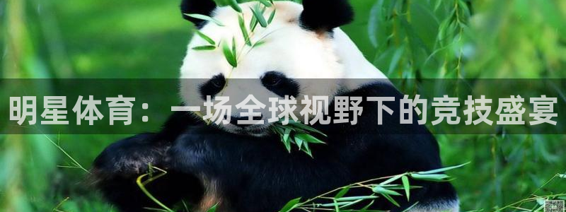 k1体育十年登录入口：明星体育：一场全球视野下的竞技盛宴