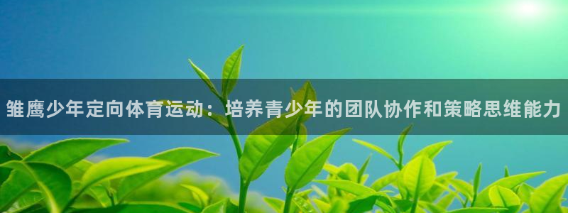 k1体育 十年品牌