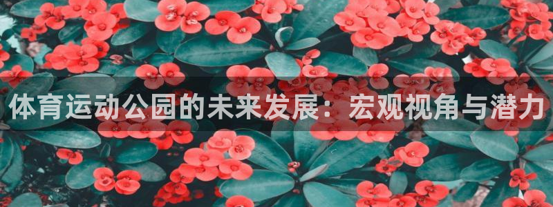 k1体育网址是多少