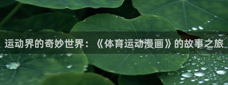 k1体育网址是多少：运动界的奇妙世界：《体育运动漫画》的故事之旅