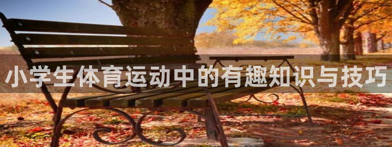 k1体育app官网登录入口：小学生体育运动中的有趣知识与技巧