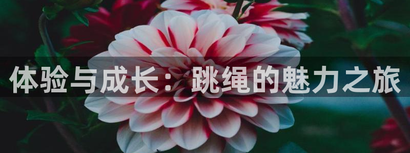 k1体育棋牌网址