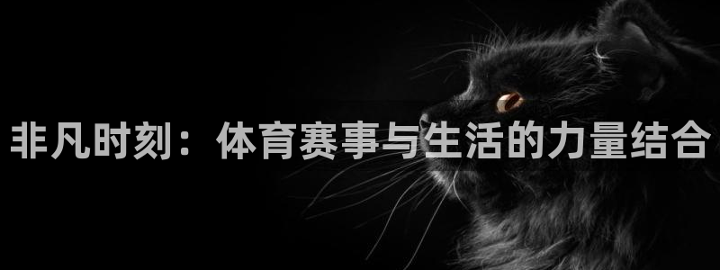 k1体育app官网登录入口：非凡时刻：体育赛事与生活的力量结合